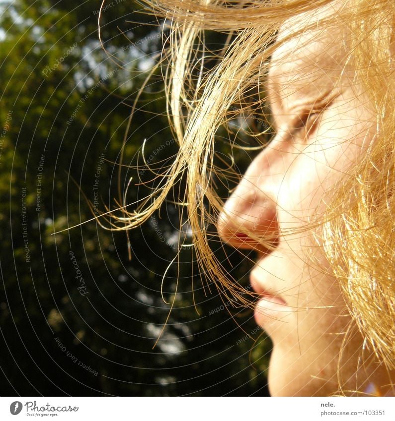 voila Sommer Luft zerzaust blond Physik Licht geschlossene Augen Baum Silhouette Profil Wind Haare & Frisuren genießen Freiheit Sonne Natur Erholung Wärme