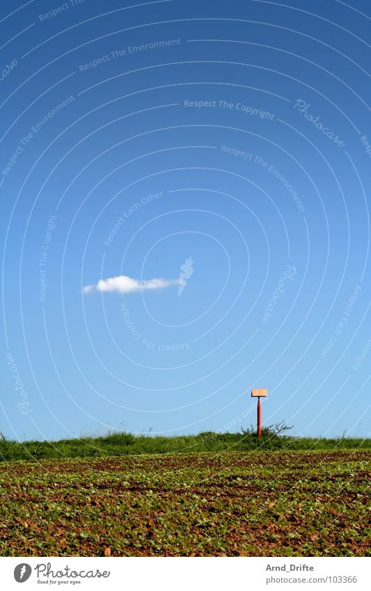 Einsame Wolke Wolken Feld Wiese Gras grün braun Sommer Himmel blau Schilder & Markierungen