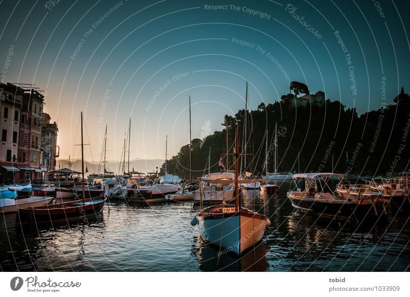 Portofino Pt.2 Wolkenloser Himmel Horizont Sommer Schönes Wetter Wald Hügel Wellen Bucht Dorf Altstadt Menschenleer Sehenswürdigkeit Bootsfahrt Sportboot Jacht