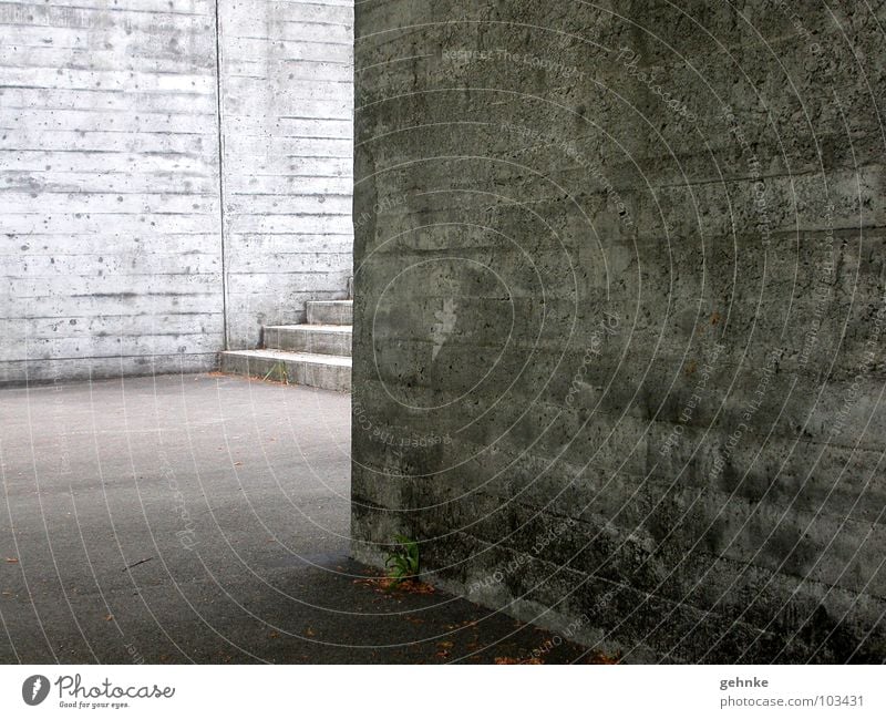 Treppe um die Ecke I Beton l Kirche alt hart Licht Verschiedenheit Erwartung geheimnisvoll Hoffnung Gotteshäuser Architektur Detailaufnahme verschalt Schatten