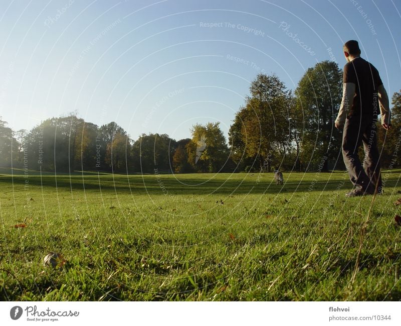 catch me if you can Hund Mann Gras Park Baum Weimar Wiese Herbst Nachmittag Physik joya willy frisby. sonne Wärme