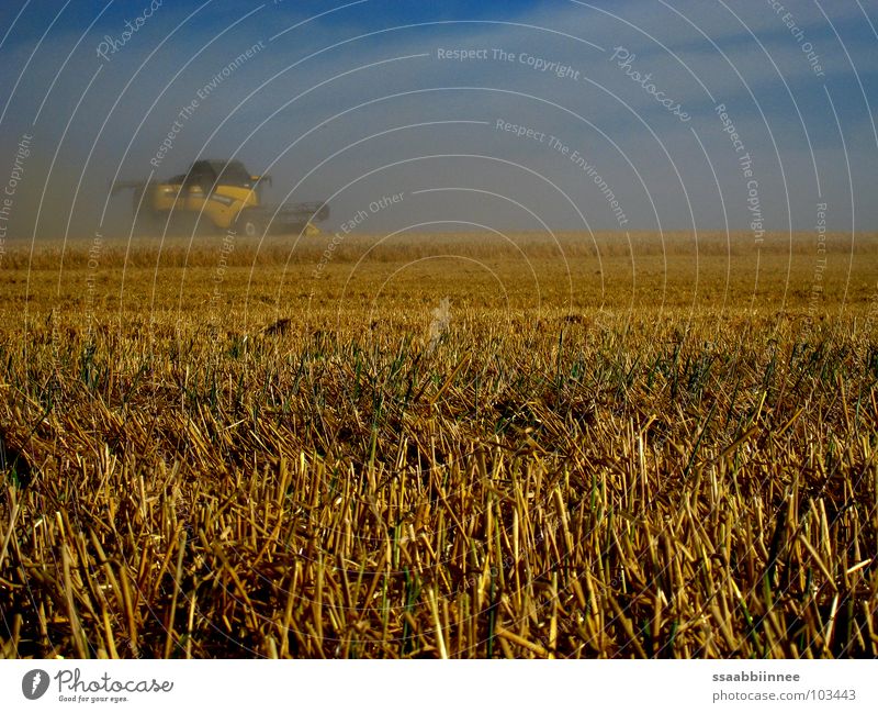 Heißer Sommer Physik Staub Mähdrescher Ernte Sommertag Kraft Wärme Himmel Nebel Getreide