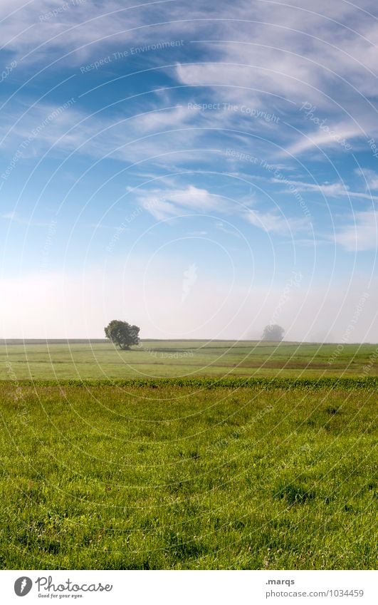 Ländlich Umwelt Natur Landschaft Urelemente Himmel Wolken Horizont Frühling Sommer Klima Schönes Wetter Nebel Baum Wiese Feld Erholung einfach frisch natürlich