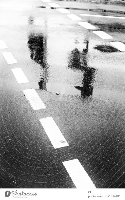 wenn es regnet, dann ist die straße nass Umwelt Wasser Herbst Winter Klima Wetter schlechtes Wetter Unwetter Regen Menschenleer Verkehr Verkehrswege