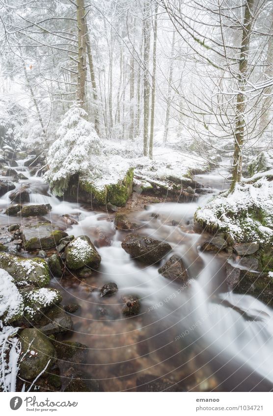 Winter am Bach Ferien & Urlaub & Reisen Ausflug Freiheit Schnee Berge u. Gebirge Natur Landschaft Wasser Klima Wetter Eis Frost Pflanze Baum Wald Felsen