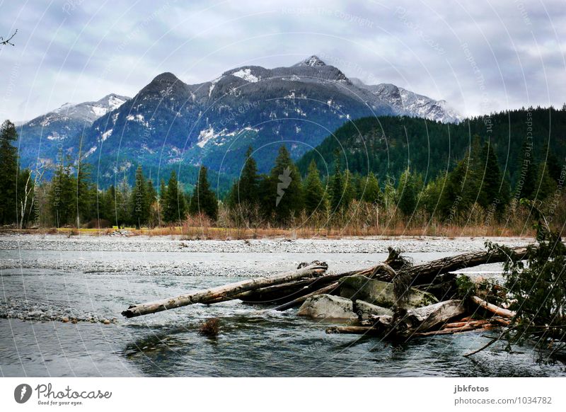 The Rockies Umwelt Natur Landschaft Pflanze Urelemente Wasser Himmel Horizont Winter Wetter Schönes Wetter Baum entdecken Kanada Rocky Mountains Farbfoto