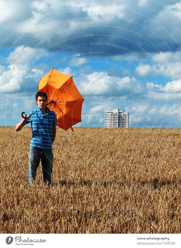 Standhaft Ernte Weizen Ähren Feld Kornfeld Gerste Landwirtschaft Bauernhof Herbst Fußweg Wiese Spurrinne ländlich Unwetter Wolken schlechtes Wetter Sturm