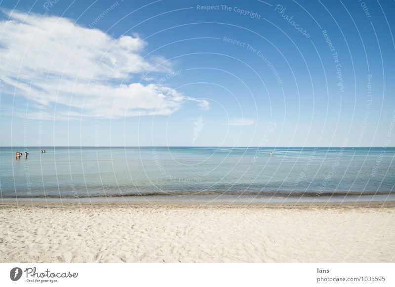 Standortfrage Ferien & Urlaub & Reisen Sommer Strand Mensch Leben Menschengruppe Umwelt Natur Landschaft Sand Wasser Himmel Schönes Wetter Wärme Küste Ostsee