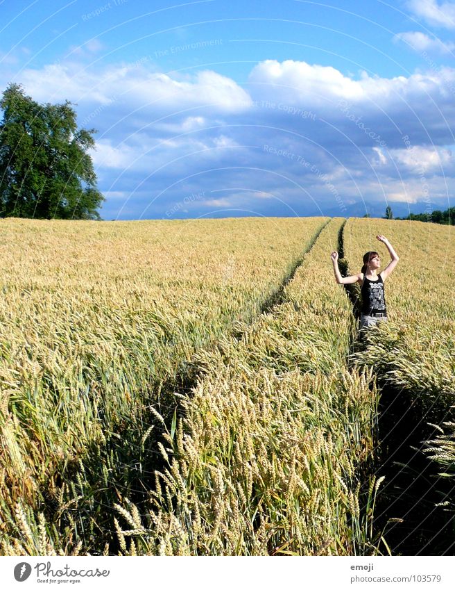 glücklich Feld Kornfeld Weizenfeld Frau schlechtes Wetter Frieden Fröhlichkeit Sommer Frühling Physik Zufriedenheit frei Hand Luft Mensch Konzentration stehen