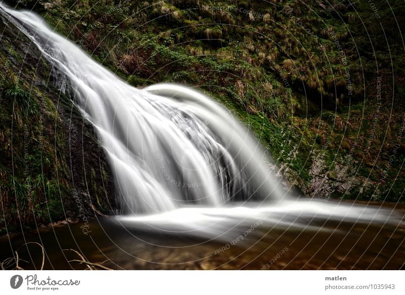 mainstream Landschaft Pflanze Wasser Gras Moos Felsen Wellen Wasserfall braun grün weiß fließen Schwarzwald Bach Farbfoto Gedeckte Farben Außenaufnahme Tag