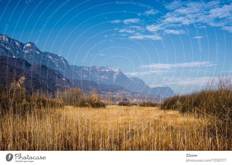 Kalterer See Ferien & Urlaub & Reisen Winterurlaub Berge u. Gebirge Umwelt Natur Landschaft Himmel Herbst Schönes Wetter Sträucher Schilfrohr Alpen frisch