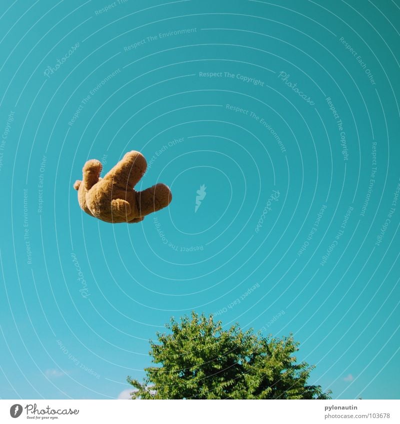 Flying Teddy zum Ersten Teddybär Fell braun Stofftiere Quaste weich Baum grün Sommer Wolken Schwung Spielzeug Plüsch Spielen fliegen Himmel blau Bewegung skuril