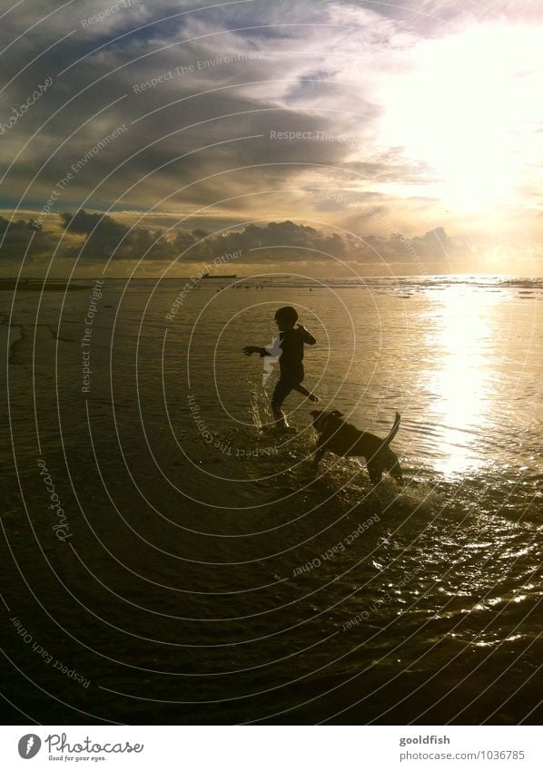 sunset fun Kinderspiel Sommer Sommerurlaub Strand Meer Mensch maskulin Junge Kindheit Körper 1 3-8 Jahre Tanzen Wasser Himmel Wolken Nachthimmel Horizont