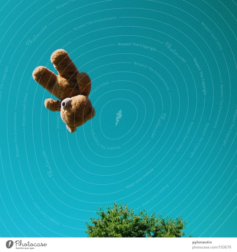 Flying Teddy zum Zweiten Teddybär Fell braun Stofftiere Quaste weich Baum grün Sommer Wolken Schwung Spielzeug Plüsch Knopfauge Spielen fliegen Himmel blau