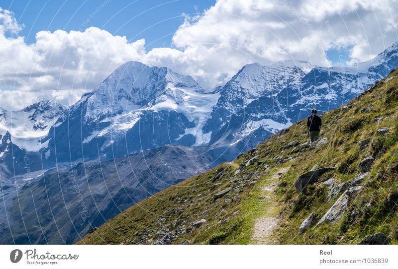 Ortler Ferien & Urlaub & Reisen Tourismus Ausflug Abenteuer Ferne Freiheit Expedition Sommer Sommerurlaub Berge u. Gebirge wandern Mensch maskulin 1 Natur