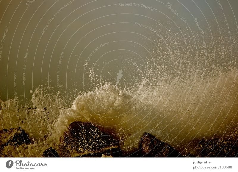 Meer Gischt Wellen Sturm Leidenschaft Kraft dunkel Unwetter Farbe Strand Küste Wasser Stein spritzen Wassertropfen Himmel Wildtier Erfrischung