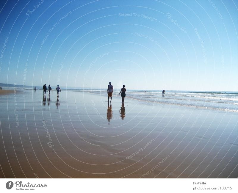 Summer-Dream Sommer Strand Spaziergang Ferne Zukunft Menschengruppe Unendlichkeit Reflexion & Spiegelung Horizont Meer Sonne laufen blau Paar Niveau paarweise