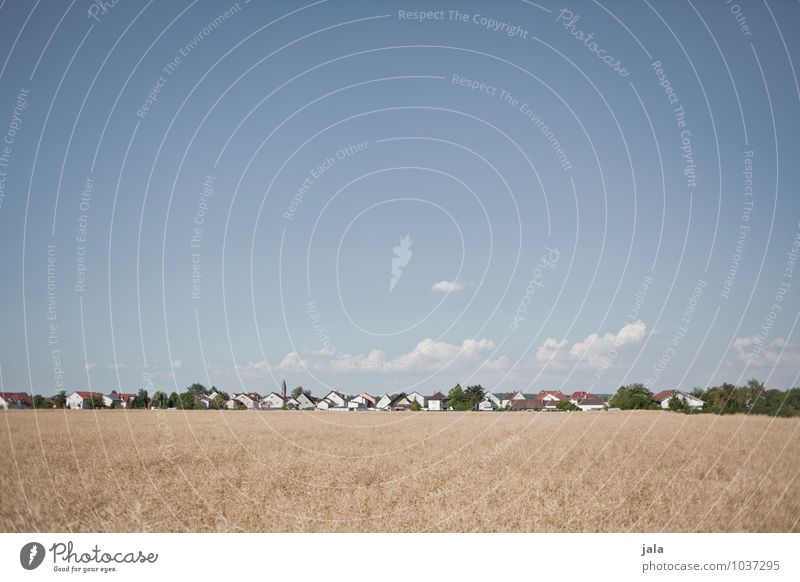 dorf Landschaft Himmel Sommer Schönes Wetter Pflanze Nutzpflanze Feld Dorf Stadtrand Haus Einfamilienhaus Gebäude einfach Ferne Farbfoto Außenaufnahme