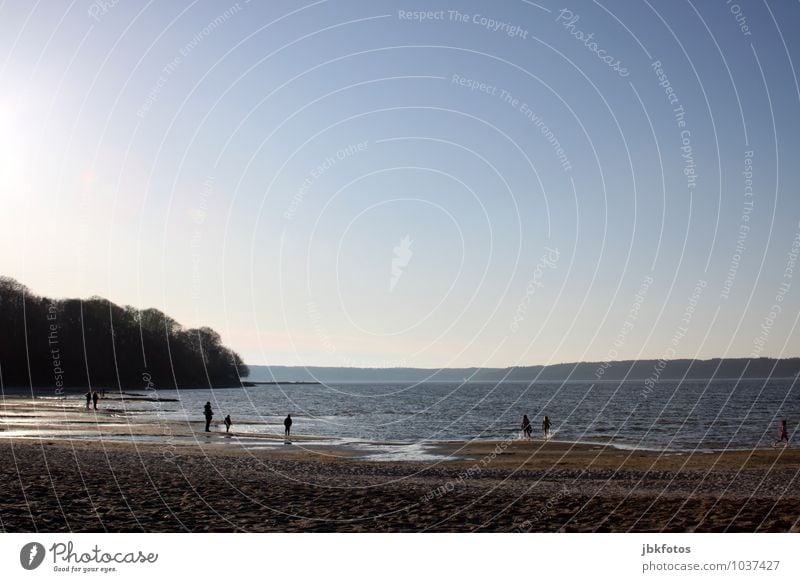 OSTSEESTRAND Umwelt Natur Landschaft Urelemente Wolkenloser Himmel Sonne Sommer Wetter Schönes Wetter Küste Seeufer Strand Bucht Nordsee Ostsee frisch kalt