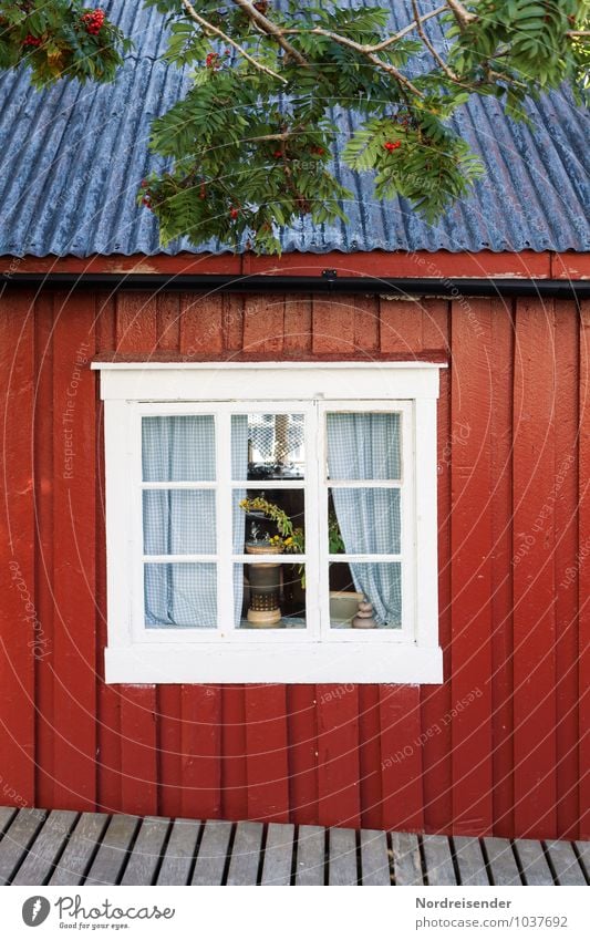 Fischerhütte Baum Fischerdorf Haus Einfamilienhaus Bauwerk Gebäude Architektur Fassade Fenster Holz Häusliches Leben alt Freundlichkeit Fröhlichkeit blau rot