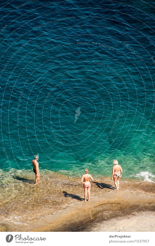 Ich traue mich nicht! Ferien & Urlaub & Reisen Tourismus Abenteuer Sommerurlaub Sonnenbad Strand Meer Insel Wellen Weiblicher Senior Frau Männlicher Senior Mann