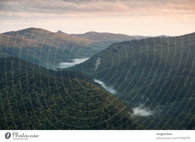 Nebel zwischen den Bergen Klettern Bergsteigen Natur Landschaft Himmel Wolken Sommer Klimawandel Wald Hügel Felsen Berge u. Gebirge Fröhlichkeit Liebe Hoffnung