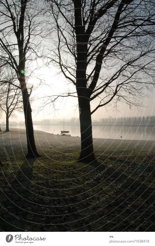 Gegenlichtbäume. Natur Wasser Sonne Sonnenlicht Winter Nebel Baum Flussufer Bucht Ferien & Urlaub & Reisen Segelboot Segeln Atmosphäre Morgendämmerung