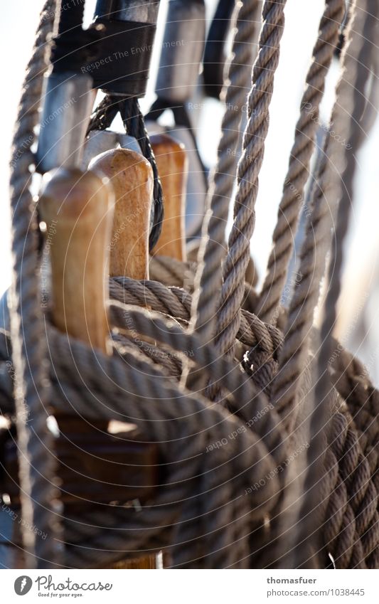 Halt Ferien & Urlaub & Reisen Abenteuer Ferne Freiheit Kreuzfahrt Sommer Meer Wassersport Segeln Schifffahrt Segelschiff Seil An Bord Windjammer einfach fest