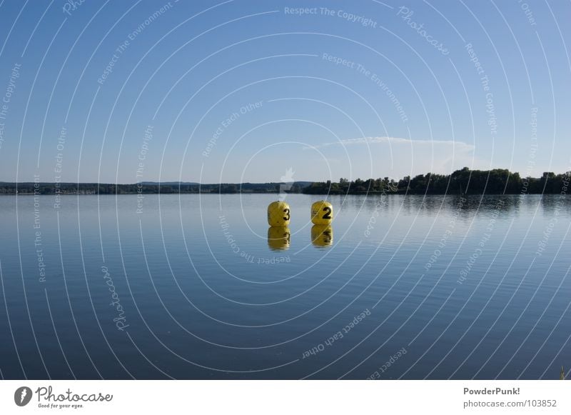 Signs in the sea gelb 3 2 Baum Panorama (Aussicht) Franken Wellen Holzmehl Wald Reflexion & Spiegelung Deutschland Bayern Wasser Water three two balloons tree