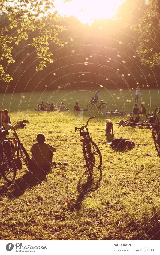 Funkenstille harmonisch Erholung ruhig Freiheit Sommer Sonne Park Fahrrad Mensch Freundschaft Jugendliche Erwachsene Leben Menschenmenge Natur Schönes Wetter