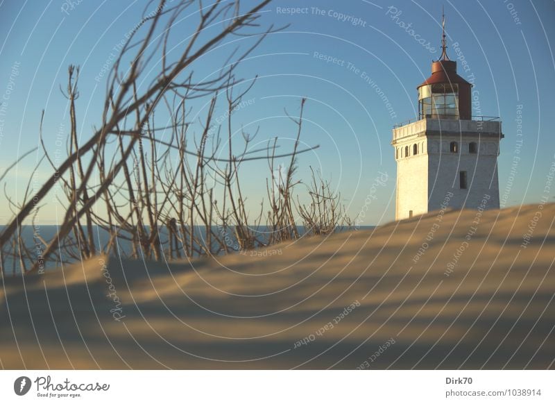 Rubjerg Knude Fyr im Abendlicht Ferien & Urlaub & Reisen Sommerurlaub Strand Umwelt Landschaft Himmel Sonnenlicht Schönes Wetter Sträucher Zweige u. Äste Ast