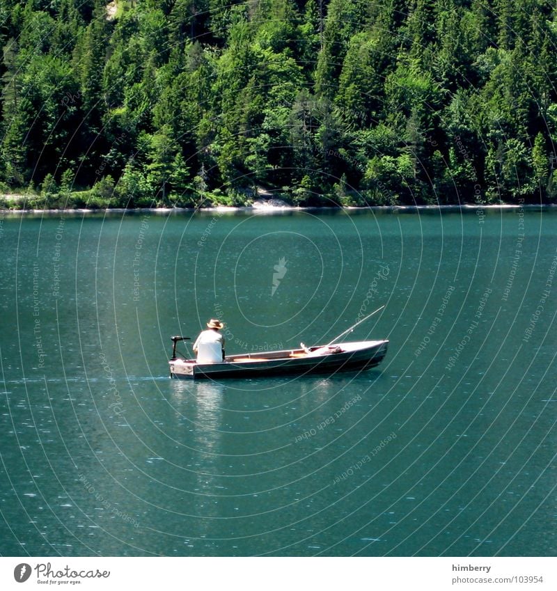 Fischers Fritz Sommer Naturgesetz grün Umwelt Wildnis Österreich Wald Hügel Angeln Wasserfahrzeug See Fischereiwirtschaft Freizeit & Hobby Erholung