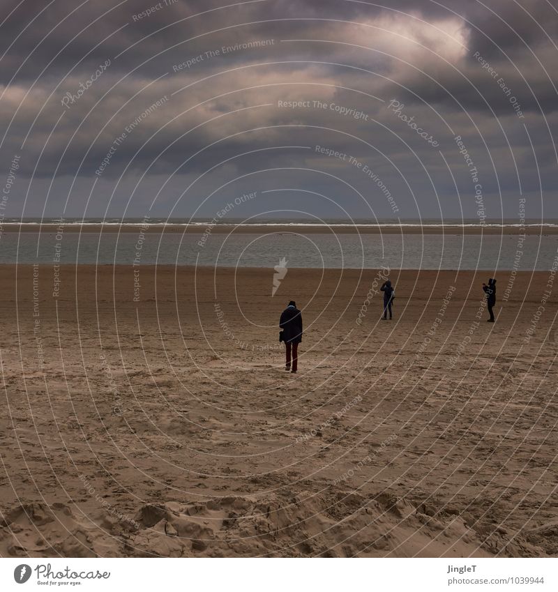 the people Umwelt Natur Landschaft Sand Himmel Wolken Winter Wetter Küste Strand Nordsee Insel Blick stehen blau braun gold grau schwarz weiß Vorsicht