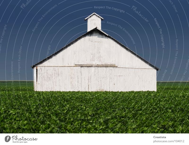 Rural Barn Holzmehl Länder Himmel stark Ernährung Bauernhof barn agriculture building crop leaf harvest horizon rural country sky grow distance whitewash