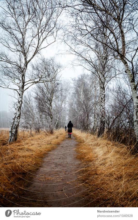 Duvenstedter Brook Ausflug Winter Mensch 2 Natur Landschaft Herbst Klima schlechtes Wetter Nebel Eis Frost Baum Gras Wiese Feld Moor Sumpf Wege & Pfade Erholung