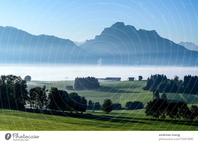 Nebeliger Morgen Ausflug Ferne Umwelt Natur Landschaft Wolkenloser Himmel Herbst Baum Wiese Hügel Alpen Berge u. Gebirge Gipfel Tal blau grün