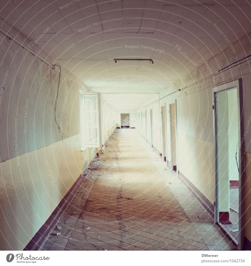 Tunnel Häusliches Leben Haus Renovieren Handwerk Baustelle Fabrik Ruine Bauwerk Gebäude Architektur Mauer Wand Fenster Tür Stein alt dreckig dunkel Ekel kalt