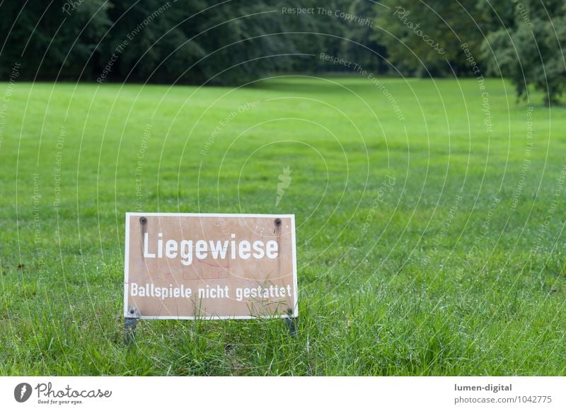 Liegewiese Ballsport Baum Park Wiese Schilder & Markierungen nass grün Verbote Berlin feucht gepflegt hintergrundunschärfe Querformat rasen schild Tiergarten