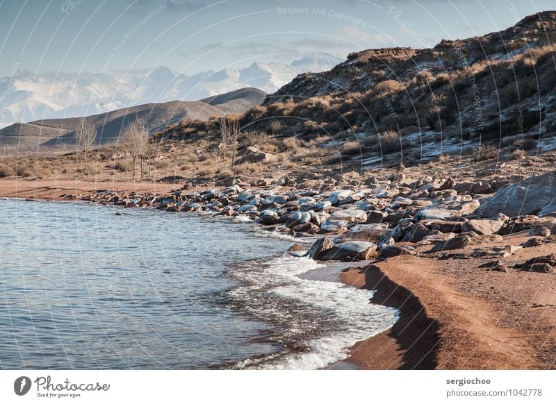 zugefrorener Strand Umwelt Natur Landschaft Pflanze Sand Wasser Himmel Wolken Horizont Winter Klimawandel Schönes Wetter Eis Frost Schnee Baum Sträucher Hügel