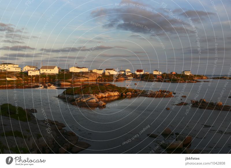 New-Wes-Valley Umwelt Natur Landschaft Urelemente Wasser Himmel Horizont Sonnenaufgang Sonnenuntergang Sommer Schönes Wetter Gras Sträucher Felsen Wellen Küste