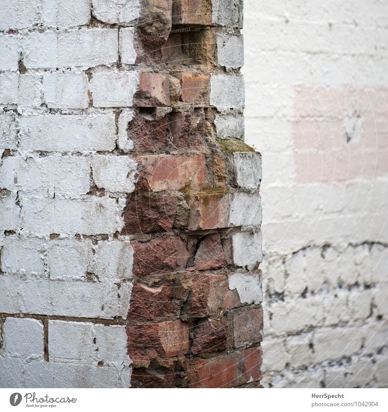 Steinbruch London Haus Bauwerk Gebäude Mauer Wand alt kaputt rosa rot weiß Demontage Ruine Backstein Backsteinwand Ecke Mauerreste Bruchstück Bruchstein