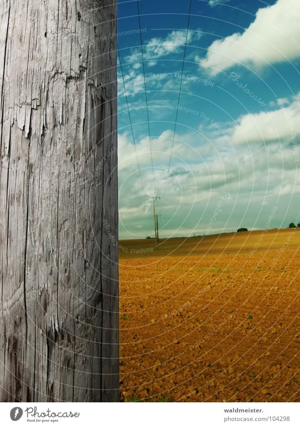 An einem Spätsommertag Holz Strommast Leitung Elektrizität Hochspannungsleitung Kabel Stahlkabel Energiewirtschaft Sommer Herbst Himmel Wolken Feld Erde