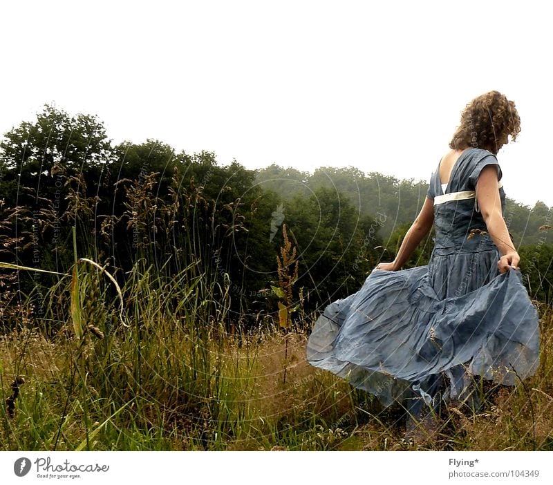 Musik in ihren Ohren Frau Kleid Ballkleid Gras Wiese Wald schön fantastisch mädchenhaft traumhaft Spielen Konzert Herbst Zufriedenheit Fee Mensch blaues kleid