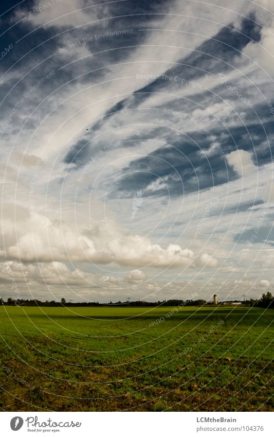 Weites Land Sommer Gras Feld blau gelb Wolken Außenaufnahme Wiese ruhig Abenddämmerung Dämmerung Wolkenbild Natur Himmel Landschaft