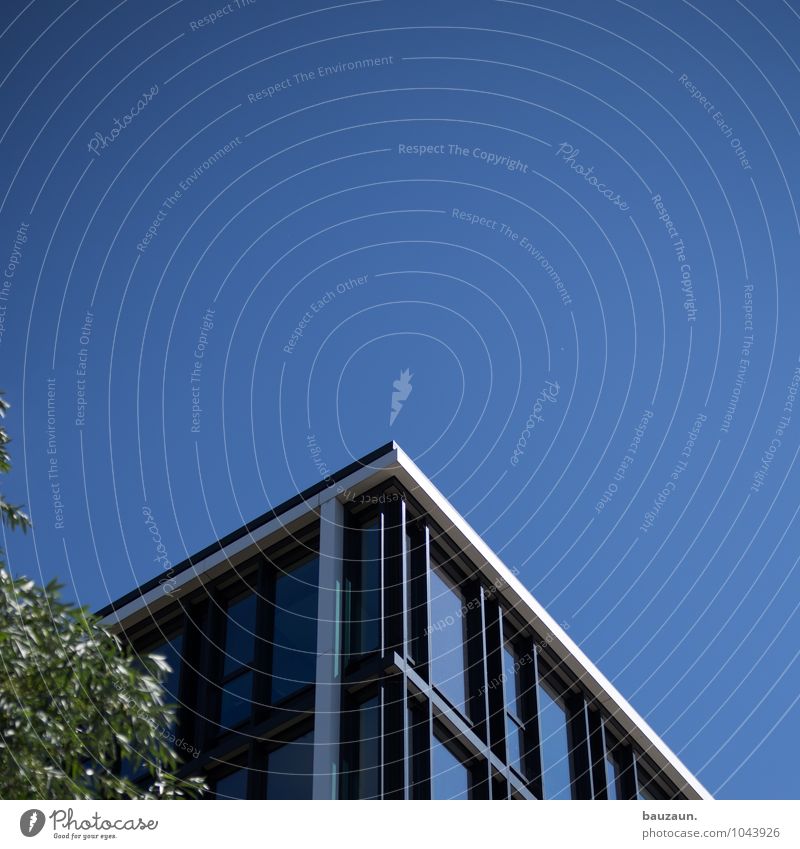 ecke². Himmel nur Himmel Sonne Sommer Schönes Wetter Pflanze Baum Stadt Haus Traumhaus Hochhaus Bauwerk Gebäude Architektur Mauer Wand Fassade Fenster Dach