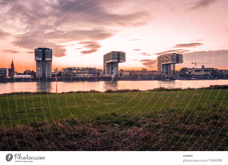 Kranhäuser Leben Ferien & Urlaub & Reisen Sommer Himmel Schönes Wetter Wiese Flussufer Köln Stadt Hochhaus Bauwerk Gebäude Architektur Sehenswürdigkeit