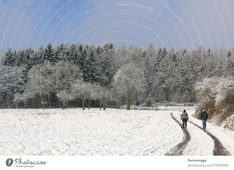 Schneespaziergang Lifestyle Erholung Winter 2 Mensch Natur Landschaft Schneefall Feld Wald gehen genießen blau grün weiß Winterspaziergang Spazierweg