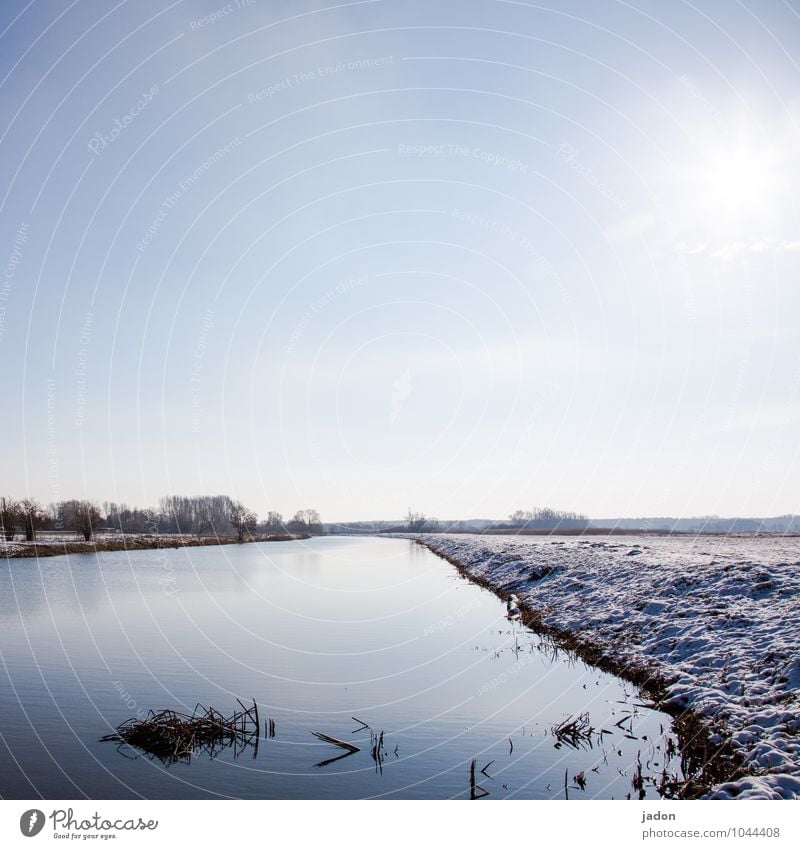 stilles wasser. Winter Schnee Umwelt Natur Landschaft Schönes Wetter Gras Wiese Feld Flussufer kalt maritim nass Einsamkeit Zufriedenheit Idylle Pause Wasser