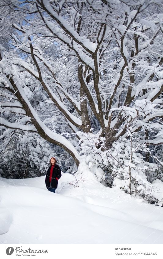 So ekelhaft! Winter Schnee Winterurlaub Mädchen Junge Frau Jugendliche Erwachsene 1 Mensch 18-30 Jahre Pflanze Baum Wald Mütze brünett langhaarig beobachten