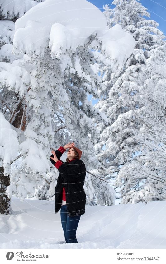 Gott bewahre! Winter Schnee Winterurlaub Junge Frau Jugendliche Erwachsene 1 Mensch 18-30 Jahre Natur Baum Mütze brünett langhaarig beobachten Blick bedrohlich